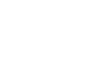 Алеховщина лого